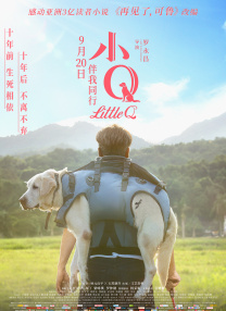 多肉需要浇水吗